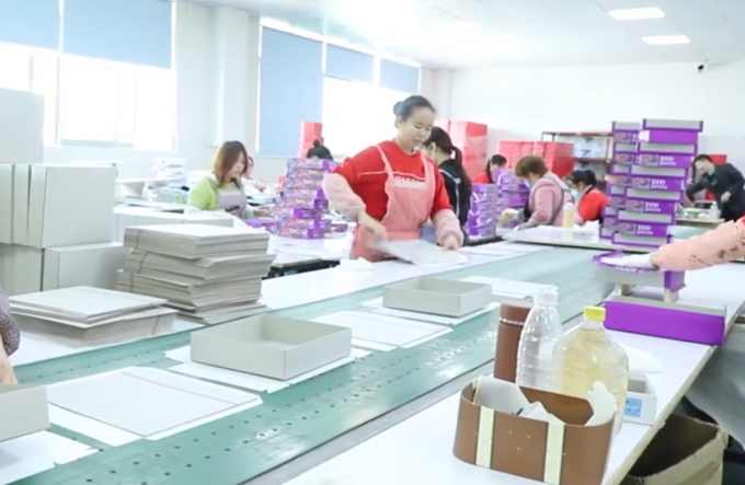 Cina Zhuhai Danyang Technology Co., Ltd Profil Perusahaan 0